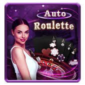88zz